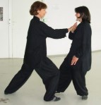 STAGE TUI SHOU 09052010 (24)